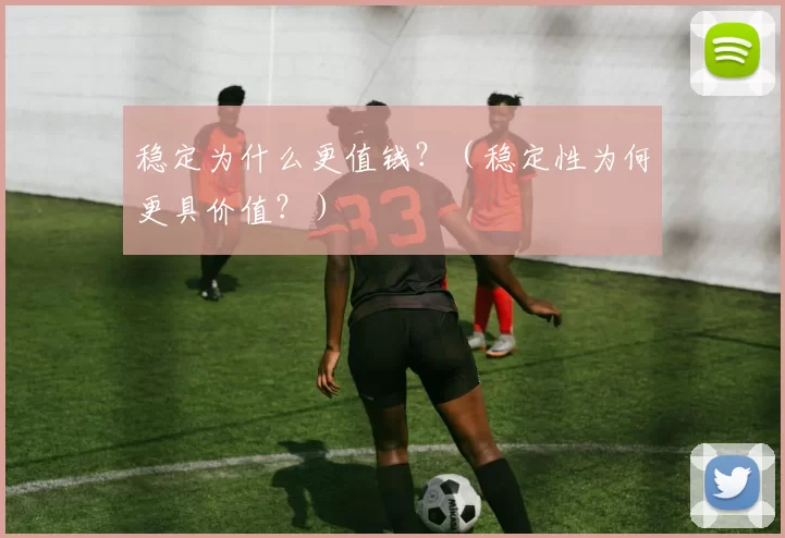 稳定为什么更值钱？（稳定性为何更具价值？）