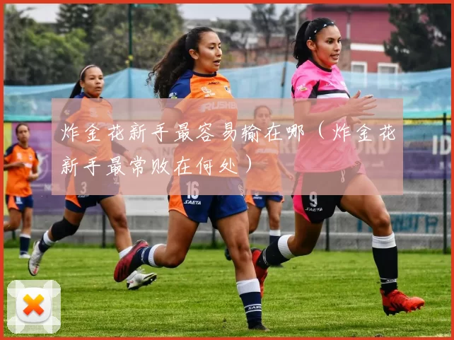 炸金花新手最容易输在哪（炸金花新手最常败在何处）
