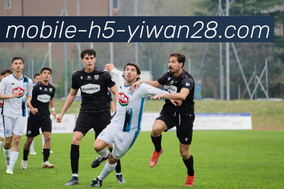 App Interface Preview